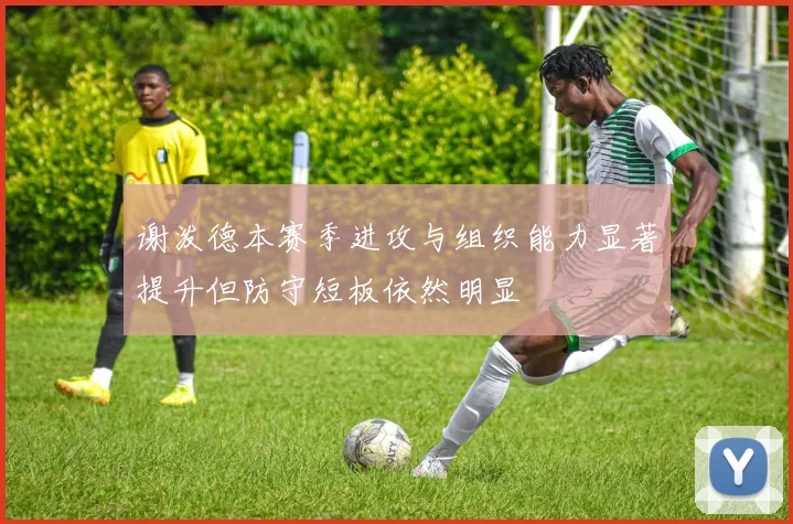 谢泼德本赛季进攻与组织能力显著提升但防守短板依然明显